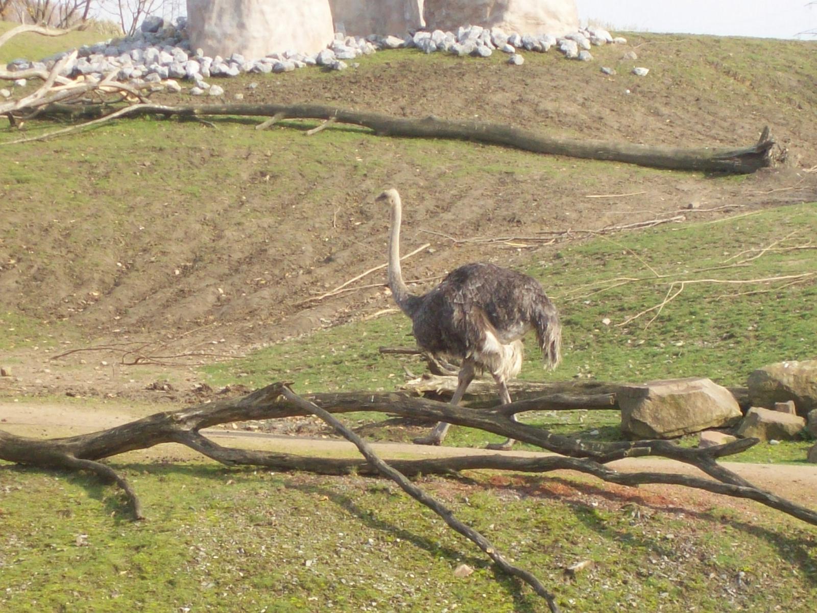 Zoom 18.10.2008-066.jpg